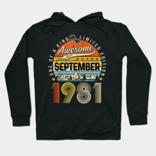 Awesome Since September 1981 Vintage 42nd Birthday Hoodie